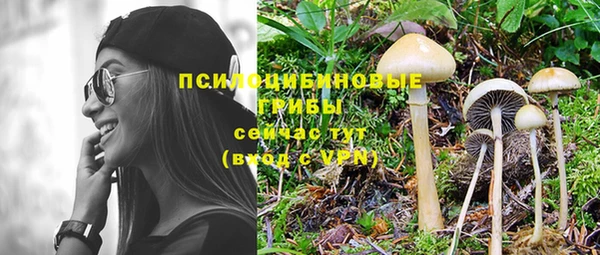 apvp Осташков