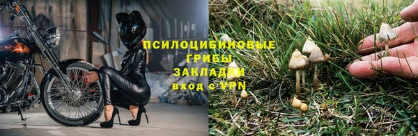 ешки Остров