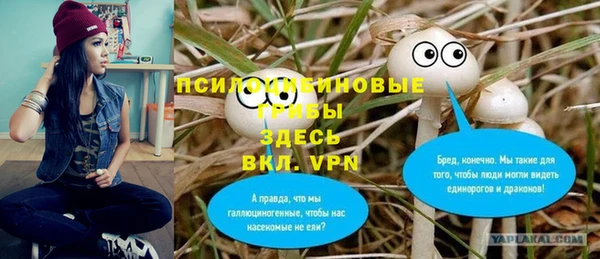 apvp Осташков