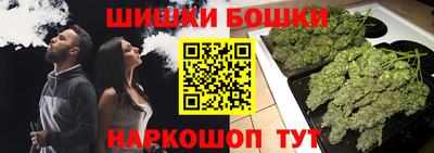 индика Апшеронск