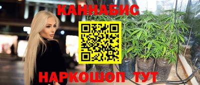 индика Апшеронск