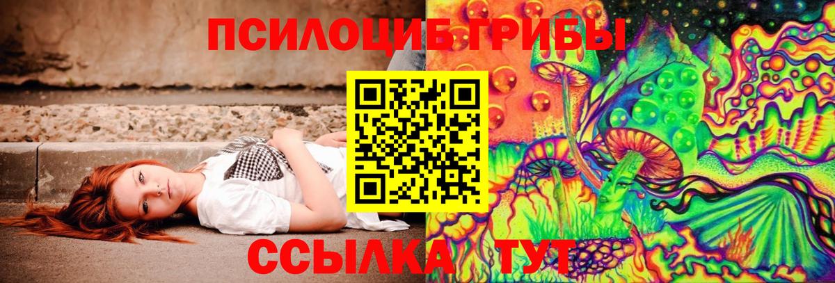 Галлюциногенные грибы Psilocybe  Псилоцибиновые грибы Magic Shrooms  Балабаново 