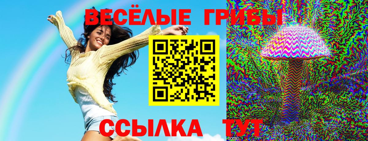 где купить   Псилоцибиновые грибы ЛСД  Балабаново  Вход с VPN  Галлюциногенные грибы MAGIC MUSHROOMS 
